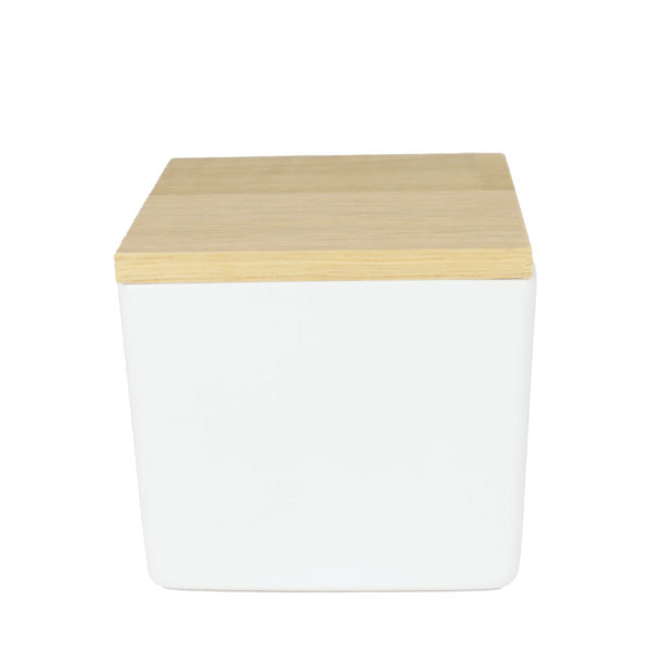 Keramik-Tierurne-White-Cube_oL